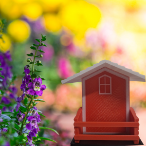 Shelter Birdfeeder