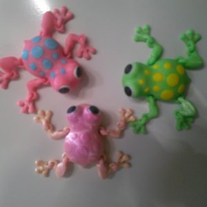 Magnetic Frog product photo